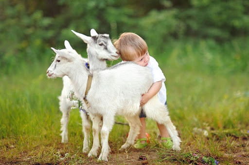 Nhưng sang năm 2021, vận số thay đổi, tài lộc chuyển biến nhanh chóng, càng ngày càng tốt. Khi tâm trạng vui vẻ, may mắn sẽ đến và bạn có thể sống sung túc. (*Thông tin chỉ mang tính chất chiêm nghiệm, trắc nghiệm vui).