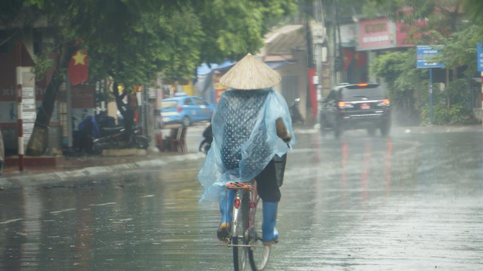 Dem nay bao do bo Hai Phong den Nghe An, cac tinh da san sang ung pho-Hinh-7