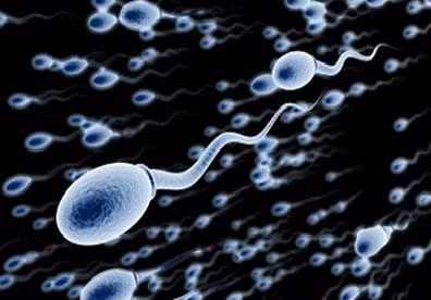 Bi quyet giu gin suc ben "chien binh" cho cac quy ong