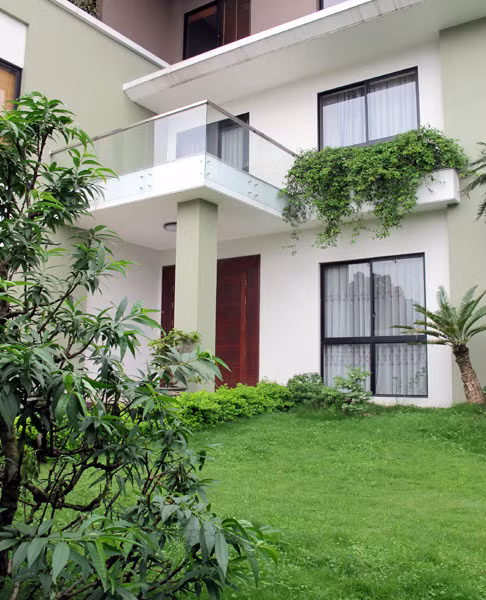 Thảm cỏ xanh mướt phủ kín sân hoặc được đặt trên lan can cửa sổ, rất thơ mộng. Ảnh: Vietnamnet.