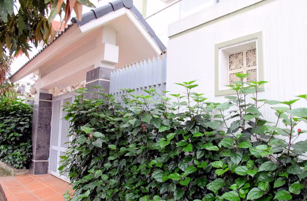 Nhiều biệt thự ở đây có hàng rào bao quanh là các loại cây xanh. Ảnh: Vietnamnet.