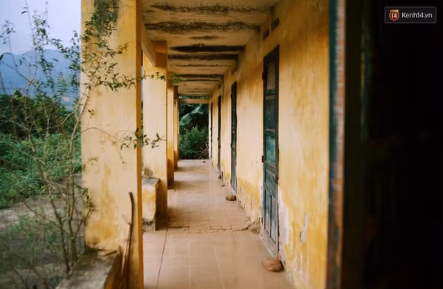 Nhung phan gia cuoi cung o trai phong bo hoang tai Ha Noi-Hinh-4