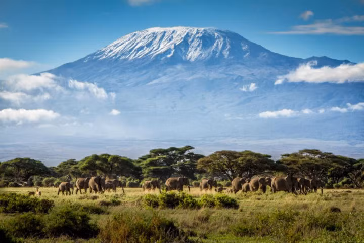 Núi Kilimanjaro, Tanzania. Quả núi tự nó sẽ không đi đâu cả, nhưng mũ tuyết của nó đã giảm ít nhất 80 - 85%; người ta ước tính rằng phần còn lại của chiếc mũ băng sẽ có thể biến mất trước năm 2040.