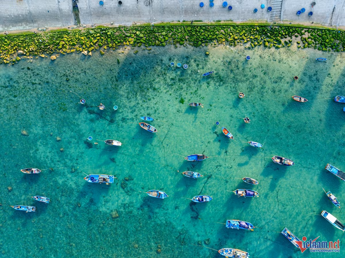 Bãi đá phủ rêu xanh mướt uốn hình vòng cung quanh bờ biển, cùng với thuyền neo đậu san sát nhau tạo nên bức tranh thiên nhiên thơ mộng. Ảnh: Nguyễn Phan Dũng Nhân