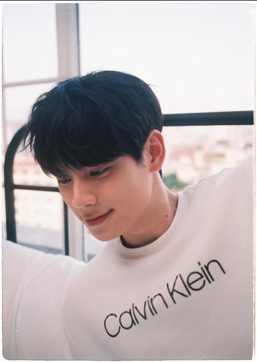 Theo Znews, Thái Vũ là cựu học sinh lớp chuyên Địa lý, trường THPT Chu Văn An, Hà Nội. Anh từng đoạt giải nhất kỳ thi học sinh giỏi thành phố Hà Nội môn Địa lý, giải khuyến khích kỳ thi học sinh giỏi Quốc gia, huy chương bạc học sinh giỏi Duyên hải và Đồng bằng Bắc Bộ.