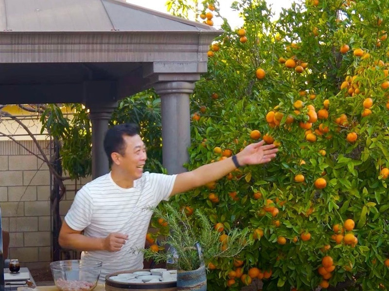 Nam danh hài nổi tiếng một thời có thú vui điền viên. Ở Mỹ, Vân Sơn có nhà vườn rộng 1.200 m2. Anh trồng nhiều loại cây trái, hoa. Khi rảnh rỗi Vân Sơn đi câu cá, nấu ăn.