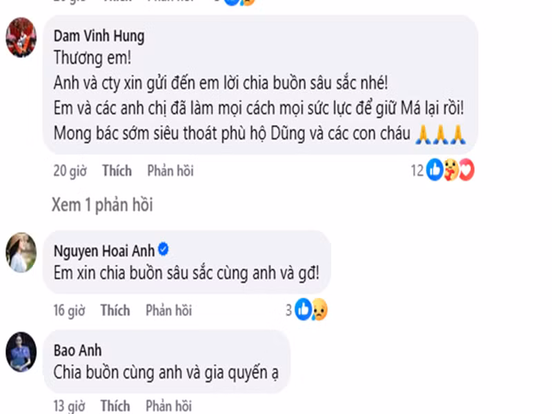 Trước thông tin mẹ Quang Dũng qua đời, nhiều đồng nghiệp của nam ca sĩ đã gửi lời chia buồn. Đàm Vĩnh Hưng bày tỏ: “Thương em! Anh xin gửi đến em lời chia buồn sâu sắc nhé! Em và các anh chị đã làm mọi cách mọi sức lực để giữ má lại rồi! Mong bác sớm siêu thoát phù hộ Dũng và các con cháu”. Ảnh chụp màn hình.