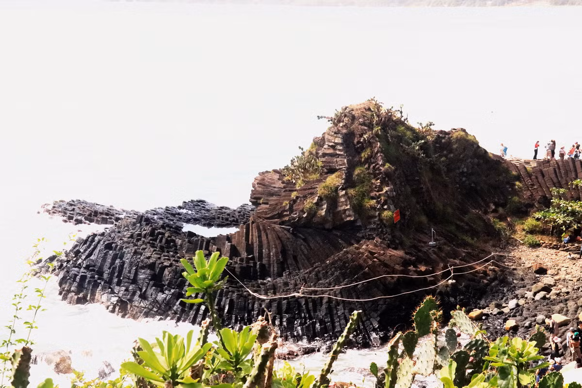 Phu Yen- nhieu diem den hap dan du khach dip Tet Giap Thin-Hinh-2