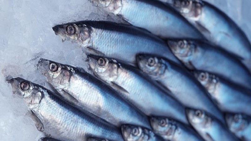 10 loai thuc pham giup cai thien suc khoe cua ban trong nam moi-Hinh-7