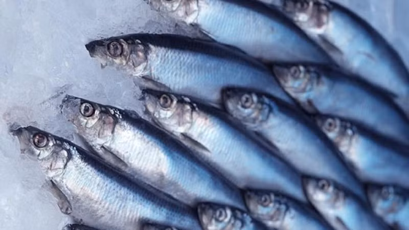 10 loai thuc pham giup cai thien suc khoe cua ban trong nam moi-Hinh-7