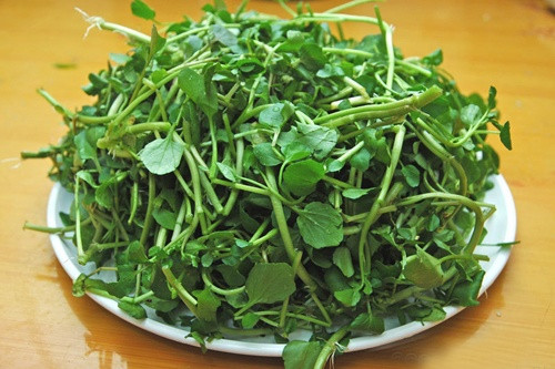 10 loai thuc pham giup cai thien suc khoe cua ban trong nam moi-Hinh-8