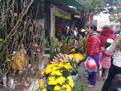 Do ảnh hưởng của dịch COVID-19, hoa đào năm nay cũng không được giá như mọi năm.