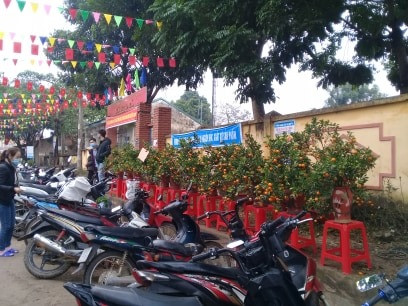 Quất, đào được bày bán phục vụ nhu cầu cho người dân chơi Tết
