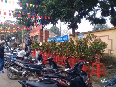 Quất, đào được bày bán phục vụ nhu cầu cho người dân chơi Tết