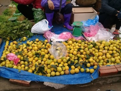 Hoa quả là mặt hàng đắt khách trong dịp Tết.