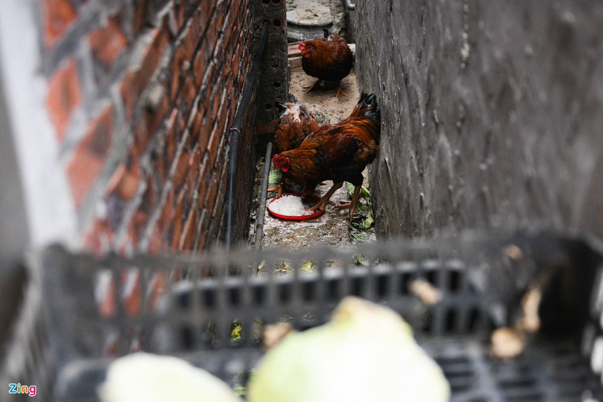 "Tôi dự trữ đồ ăn từ trước Tết. Thuộc khu vực phong tỏa nên chúng tôi không thể ra ngoài. Đồ ăn dần hết, tiền mặt cũng không có, mọi người trong xóm lại vay mượn vòng quanh rồi đùm bọc nhau từng ngày", chị Đàm Mai (trái) - nữ công nhân người Hà Giang kẹt lại vùng dịch chia sẻ.