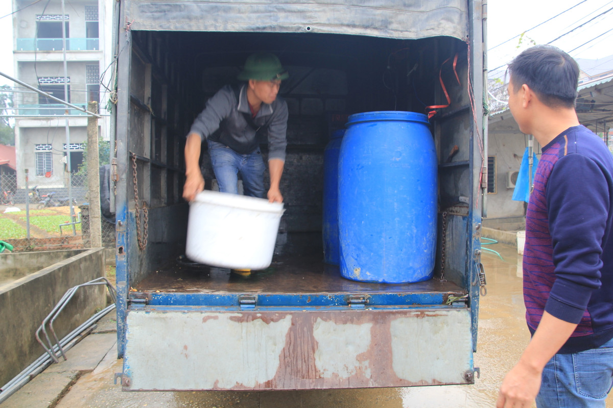 Những ngày tháng Chạp, từng đoàn xe từ khắp các tỉnh Tuyên Quang, Yên Bái, Lạng Sơn, Lào Cai, Hà Nội, Thái Nguyên... đổ về đây để thu mua cá.