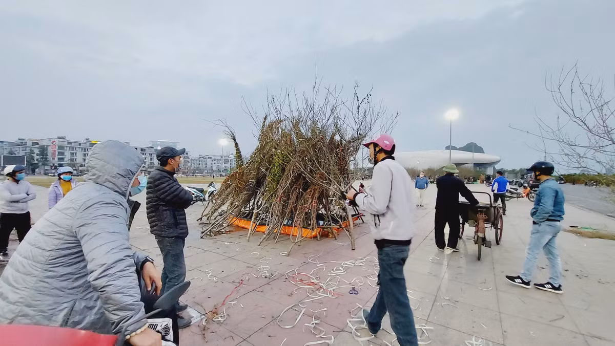 TP Ha Long van to chuc hoi cho hoa va ban phao hoa giao thua