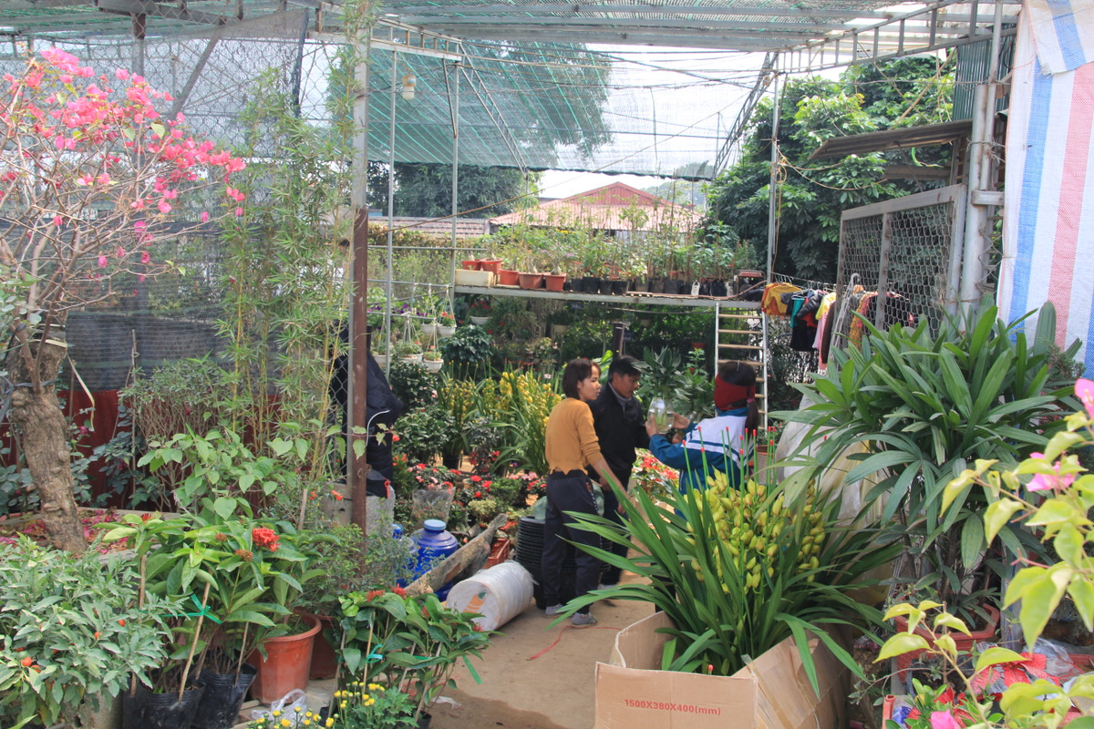 Khách hàng ở khắp nơi tìm về Phương Viên mua hoa, cây cảnh để chơi tết.
