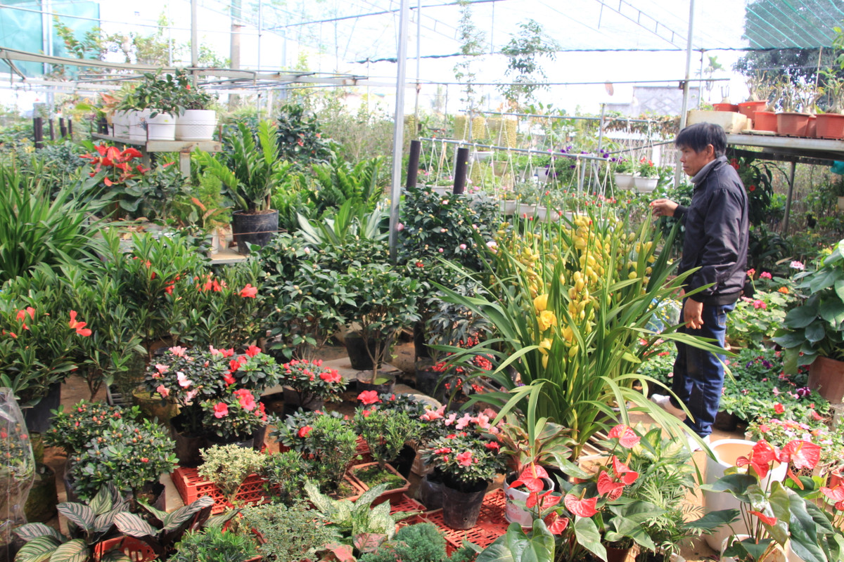 Lang hoa Phuong Vien, Phu Tho tat bat don Tet Tan Suu 2021-Hinh-3