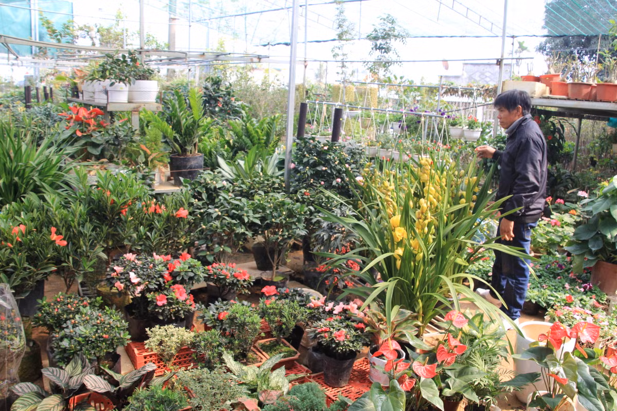 Lang hoa Phuong Vien, Phu Tho tat bat don Tet Tan Suu 2021-Hinh-3