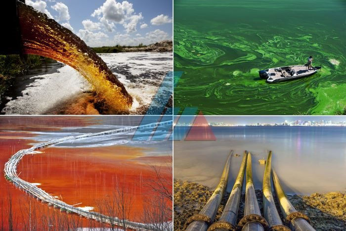 Để có được nhận định này, ông cùng các cộng sự đã phân tích 4.400 đợt bùng phát bệnh truyền từ động vật trên khắp thế giới liên quan đến nguồn nước ô nhiễm kể từ năm 1974, trong đó có 43 vụ dịch bùng nổ có mức độ nghiêm trọng.