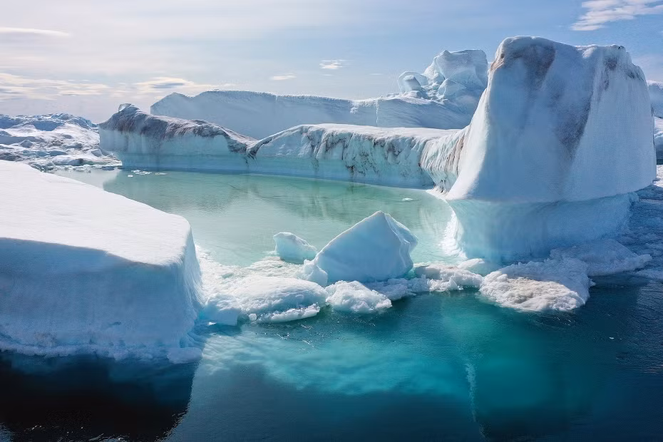 Tuyen bo soc: Gau Bac Cuc co the bien mat vao cuoi the ky nay