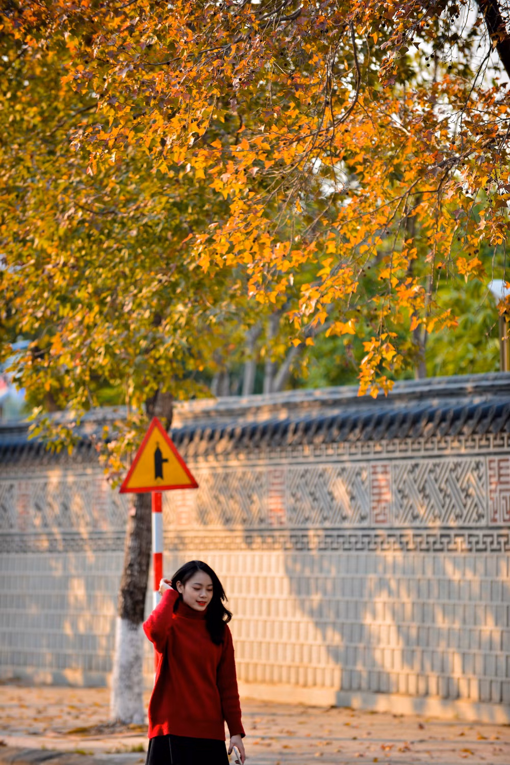 Hình ảnh phong đỏ lá, bức tường kiến trúc hoàng gia Hàn Quốc khiến người xem có cảm giác như đang ở xứ sở Kim Chi.