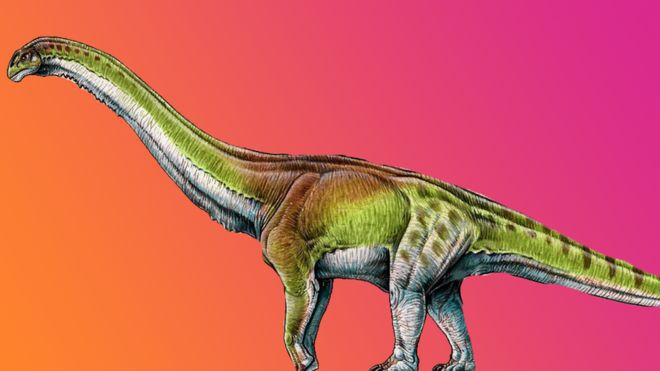 Kham pha chan dong ve loai khung long dai nhat moi thoi dai-Hinh-4