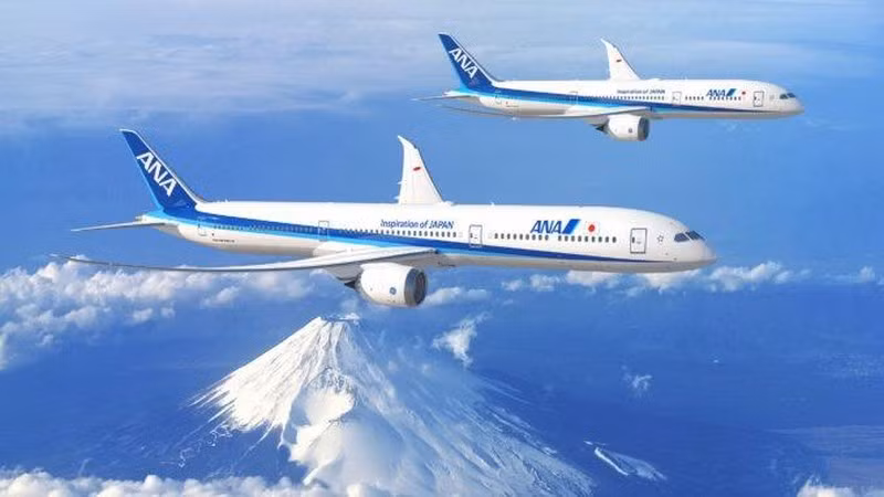 Từ năm 2012-2013, Mỹ và Nhật đã thông báo dừng sử dụng đối với dòng máy bay Boeing 787 Dreamliner bởi các sự cố liên quan đến khoang nhiên liệu và sự cố về pin của dòng máy bay này.