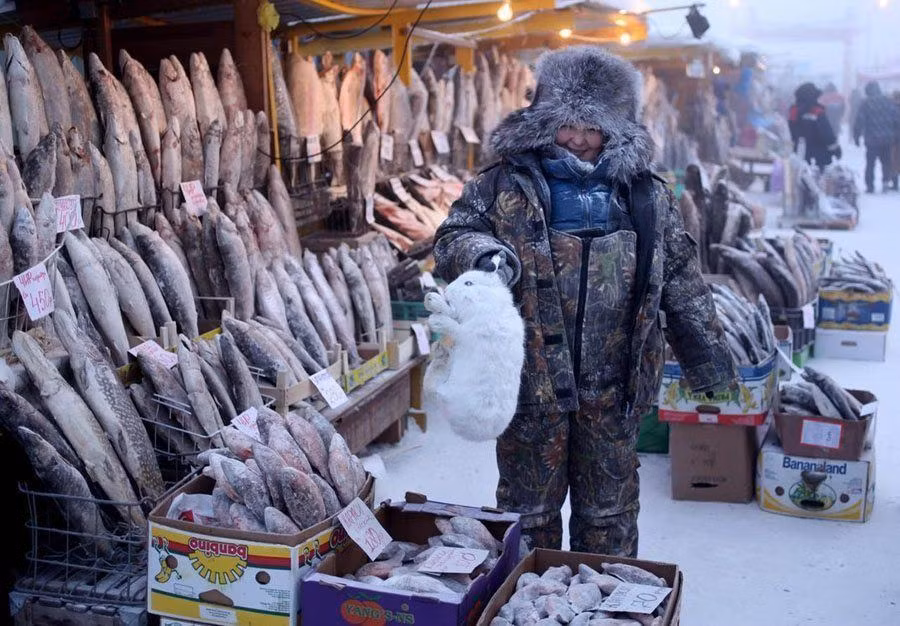 Tủ lạnh là không cần thiết bởi nhiệt độ ở đây là một "tủ lạnh lộ thiên" hoàn hảo nhất để bảo quản thực phẩm luôn ở trạng thái tươi ngon nhất cho tới khi được bán.