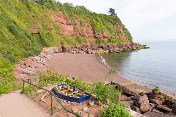 Hai đứa trẻ Ellie, 7 tuổi và Lauren, 5 tuổi chỉ xác con cá kỳ lạ cho người cha Ziggy Austin của chúng trên bãi biển Maidencombe ở Torquay.