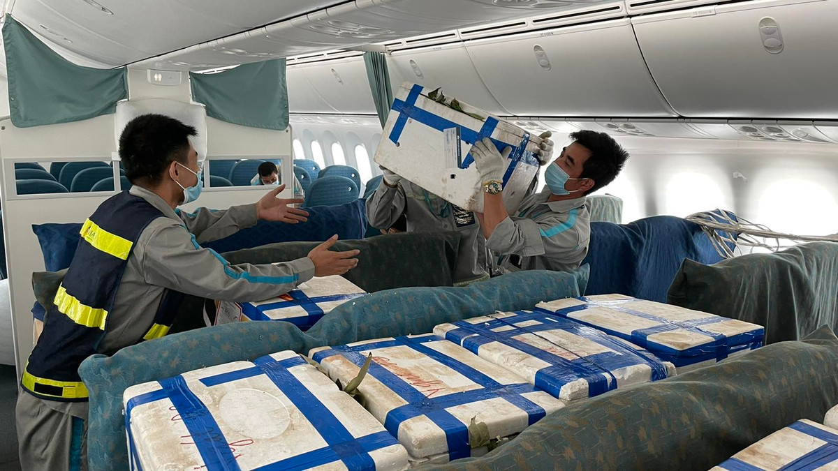 Vải thiều Bắc Giang năm nay được ghi nhận được mùa lớn, tuy nhiên do dịch bệnh COVID-19 khiến việc tiêu thụ vải gặp nhiều khó khăn.