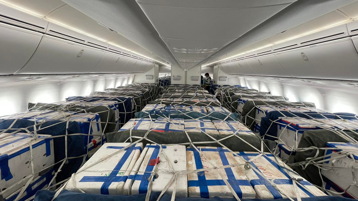 Việc vận chuyển vải là khâu cực quan trọng trong quá trình tiêu thụ vải. Vải phải được vận chuyển nhanh, đảm bảo điều kiện nhiệt độ để giữ được độ tươi khi đến tay người tiêu dùng.