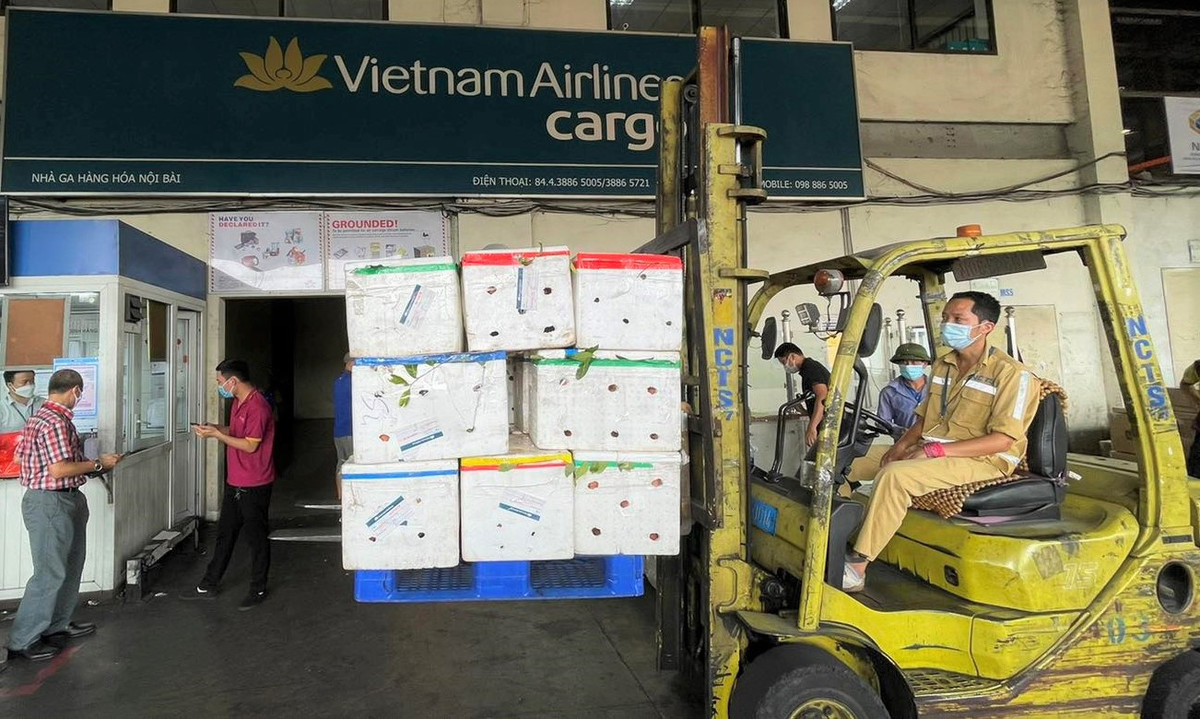 Đây là lần đầu tiên vải thiều được vận chuyển bằng “siêu” máy bay Boeing 787-9.