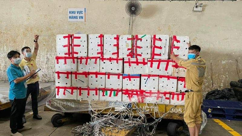 “Siêu máy bay” này chỉ chở riêng vải thiều để hỗ trợ tiêu thụ nông sản cho Bắc Giang. Đưa sản phẩm tới tay người tiêu dùng sớm nhất.