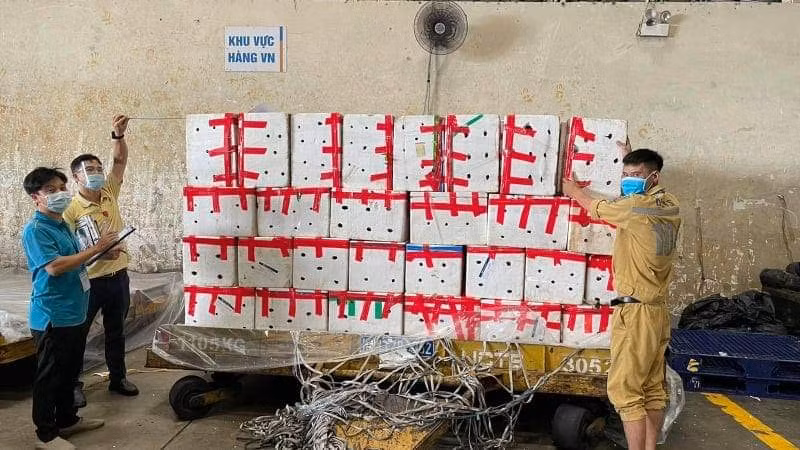 “Siêu máy bay” này chỉ chở riêng vải thiều để hỗ trợ tiêu thụ nông sản cho Bắc Giang. Đưa sản phẩm tới tay người tiêu dùng sớm nhất.