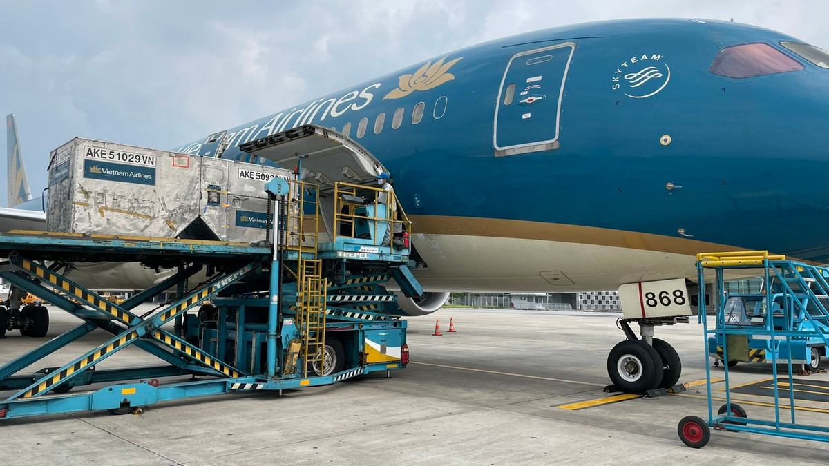 Số vải còn lại vẫn sẽ được xếp vào khoang hàng của máy bay thân rộng.