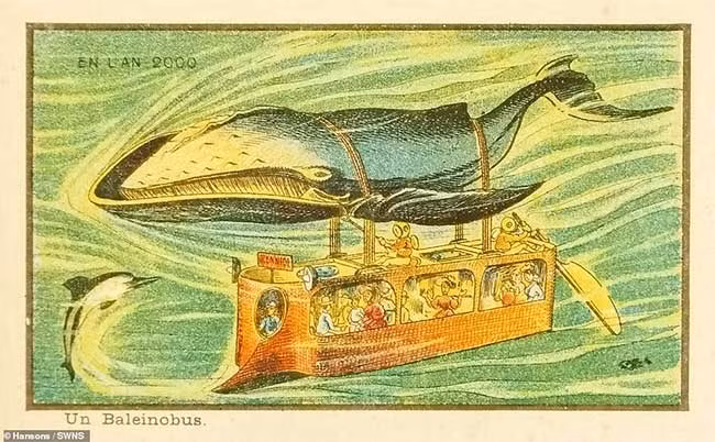 Xe bus có thể được cá voi vận chuyển, đi lại dưới nước hay bay trên trời đã không còn xa lạ.