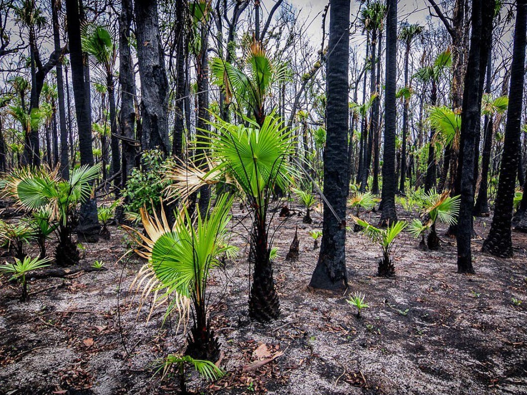 Giai ma phan ung cua thuc vat ban dia truoc bien doi khi hau-Hinh-2