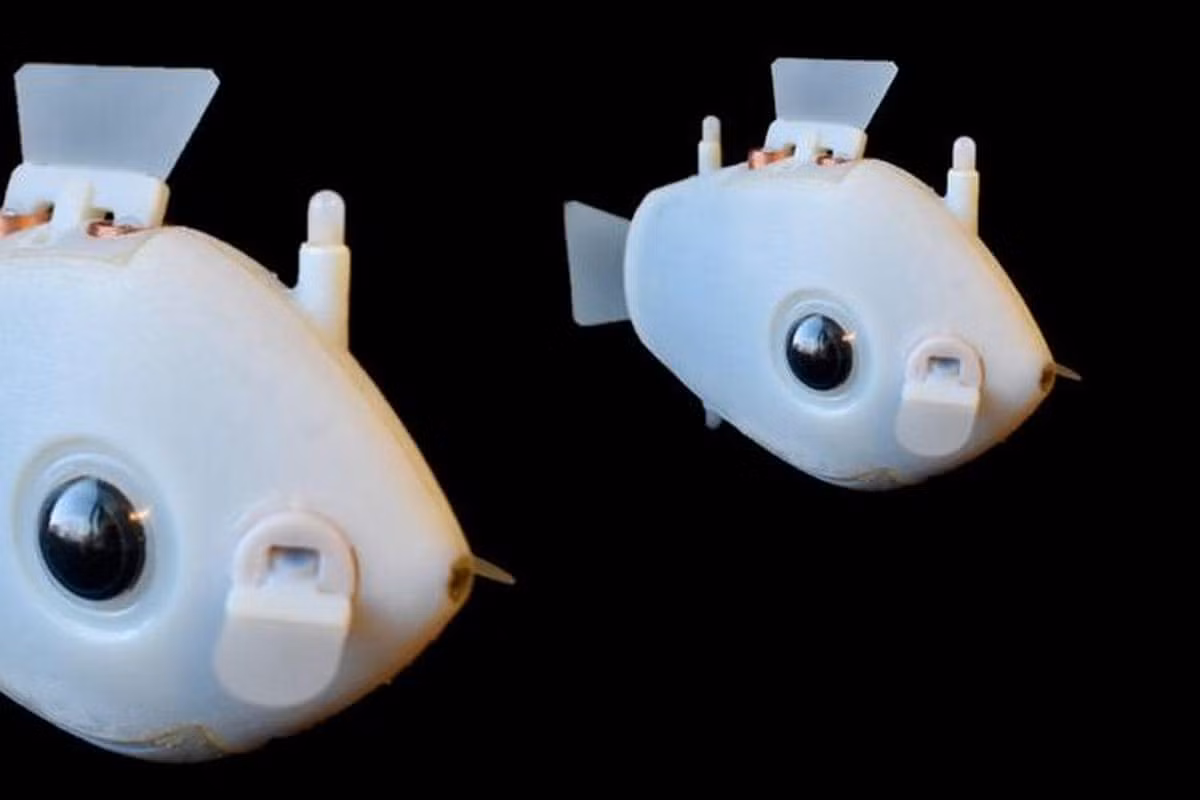 Hầu hết hệ thống robot dưới nước hiện nay dựa vào từng robot riêng lẻ giao tiếp với nhau qua radio và định vị GPS. Hệ thống mới đã tiến gần hơn đến việc bắt chước hành vi tự nhiên phức tạp của cá.