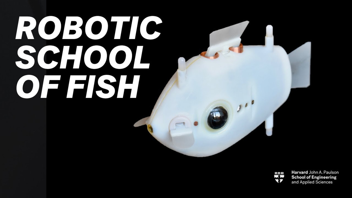 Người đứng đầu nghiên cứu Florian Berlinger cho hay phát minh mới này được đánh giá là hữu ích trong ứng dụng tương lai, ví dụ như tìm kiếm cứu hộ người bị nạn trên biển, giám sát môi trường hoặc cơ sở hạ tầng.