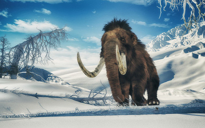 "Con người hay thảm họa thiên thạch đã bị đổi lỗi khiến chúng không tồn tại được lâu. Nhưng cuối cùng chúng tôi đã có thể chứng minh rằng, biến đổi khí hậu cũng là một vấn đề, thậm chí hậu quả còn phụ thuộc vào mức độ kéo dài của tiến trình này”.