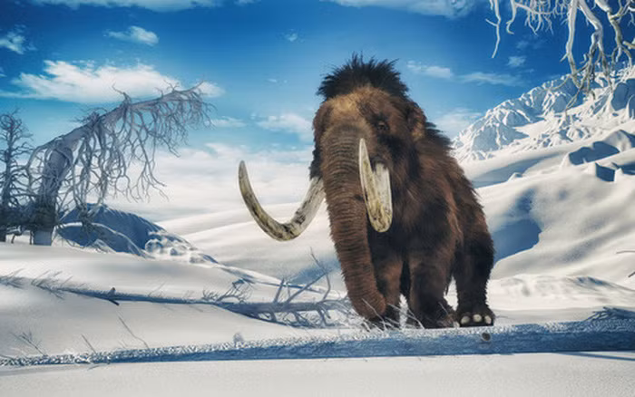 "Con người hay thảm họa thiên thạch đã bị đổi lỗi khiến chúng không tồn tại được lâu. Nhưng cuối cùng chúng tôi đã có thể chứng minh rằng, biến đổi khí hậu cũng là một vấn đề, thậm chí hậu quả còn phụ thuộc vào mức độ kéo dài của tiến trình này”.