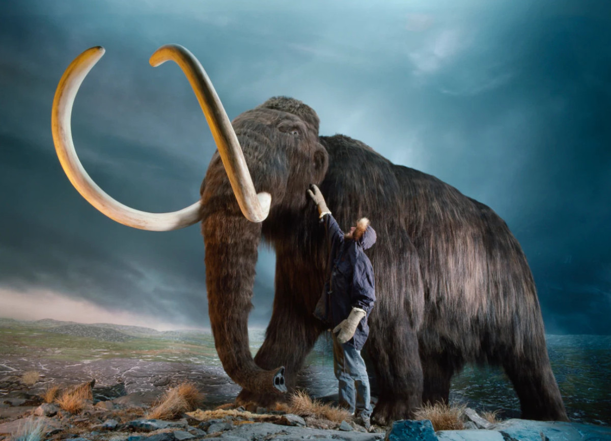 Để có được kết quả này, trong một nghiên cứu phân tích ADN quy mô lớn về các cộng đồng thực vật và động vật có vú cổ đại, một nhóm các nhà nghiên cứu tại Đại học Cambridge đã phân tích 535 mẫu trầm tích hồ và băng vĩnh cửu từ khắp Bắc Cực trong 50.000 năm qua.