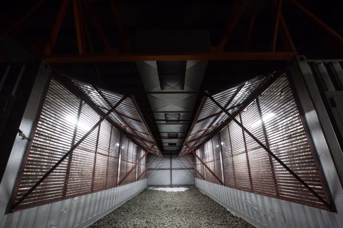 Mặc dù chỉ chính thức đưa vào hoạt động từ cuối năm 2020, họ đã tiếp tục lên kế hoạch mở rộng trang trại này.