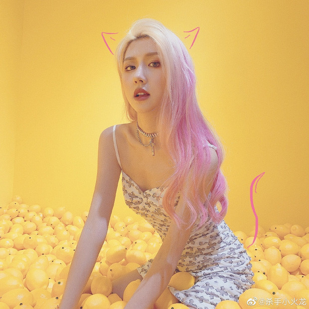 Trong dàn hot girl xinh đẹp hiện nay, Tiểu Hoả Long được đông đảo cư dân mạng cho là nàng hot girl cá tính, thú vị nhất TikTok xứ Trung. Tiểu Hoả Long sinh năm 1997 tại thành phố Tế Nam, tỉnh Sơn Đông, Trung Quốc. Cô tham gia TikTok vào khoảng đầu năm 2019.