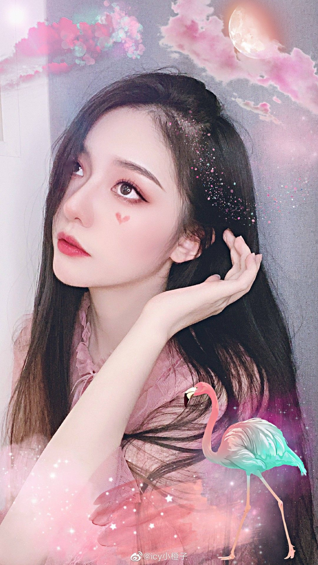 Không giống với những hot girl đình đám khác hiện nay, Tiểu Tranh Tử mang một vẻ đẹp truyền thống, vẻ đẹp được đánh giá là "nghiêng nước nghiêng thành".