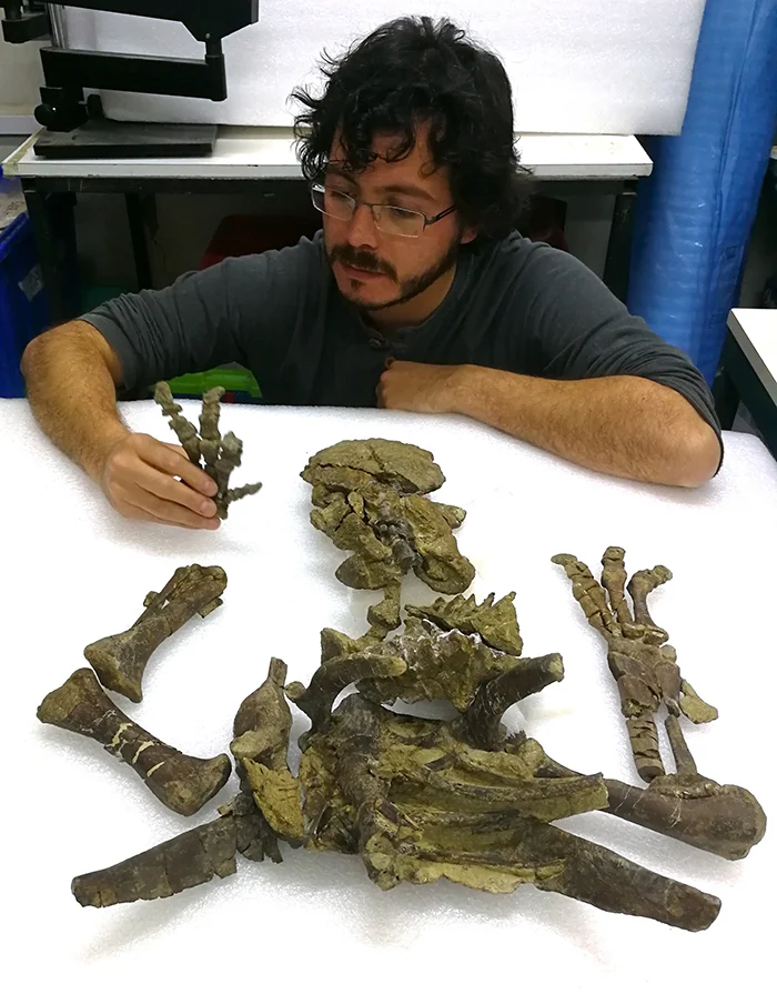 Bộ xương được bảo quản tốt ở mức khoảng 80%, và thật kỳ lạ là khớp nối của các xương vẫn có trật tự nguyên bản.