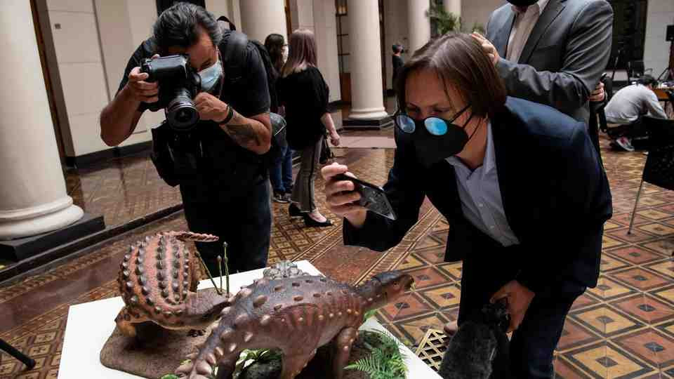 Tên chi của loài khủng long Stegouros elengassen bắt nguồn từ những từ tiếng Hy Lạp có nghĩa là "mái nhà" (stego) và "đuôi" (uros) - và tên loài của nó elengassen, đề cập đến một con thú bọc thép trong thần thoại của người Aónik'enk địa phương.